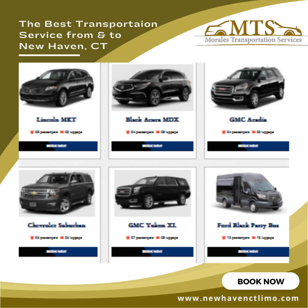 New Haven to Jfk Airport