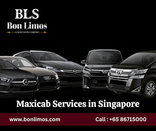 Maxicab Services