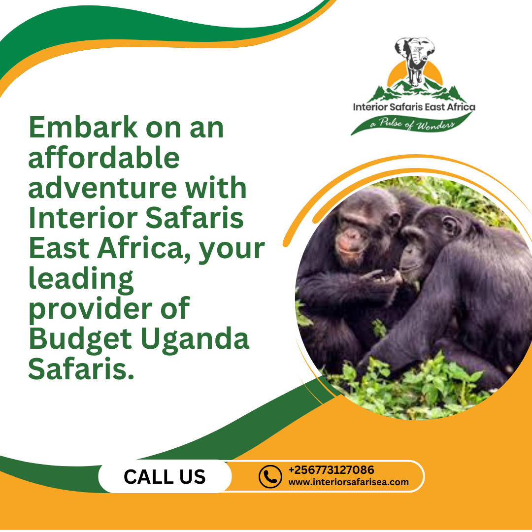 Serengeti Safari Tour