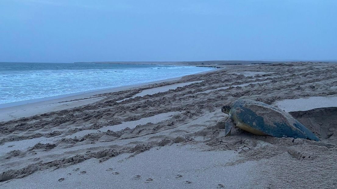 Oman Tour Operator Italiani