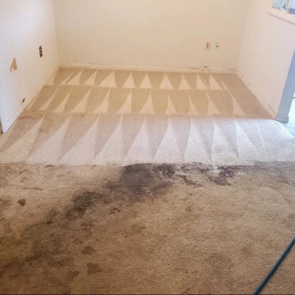 best plumber near me