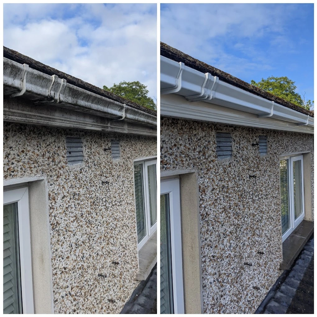 Domestic Gutter Cleaning
