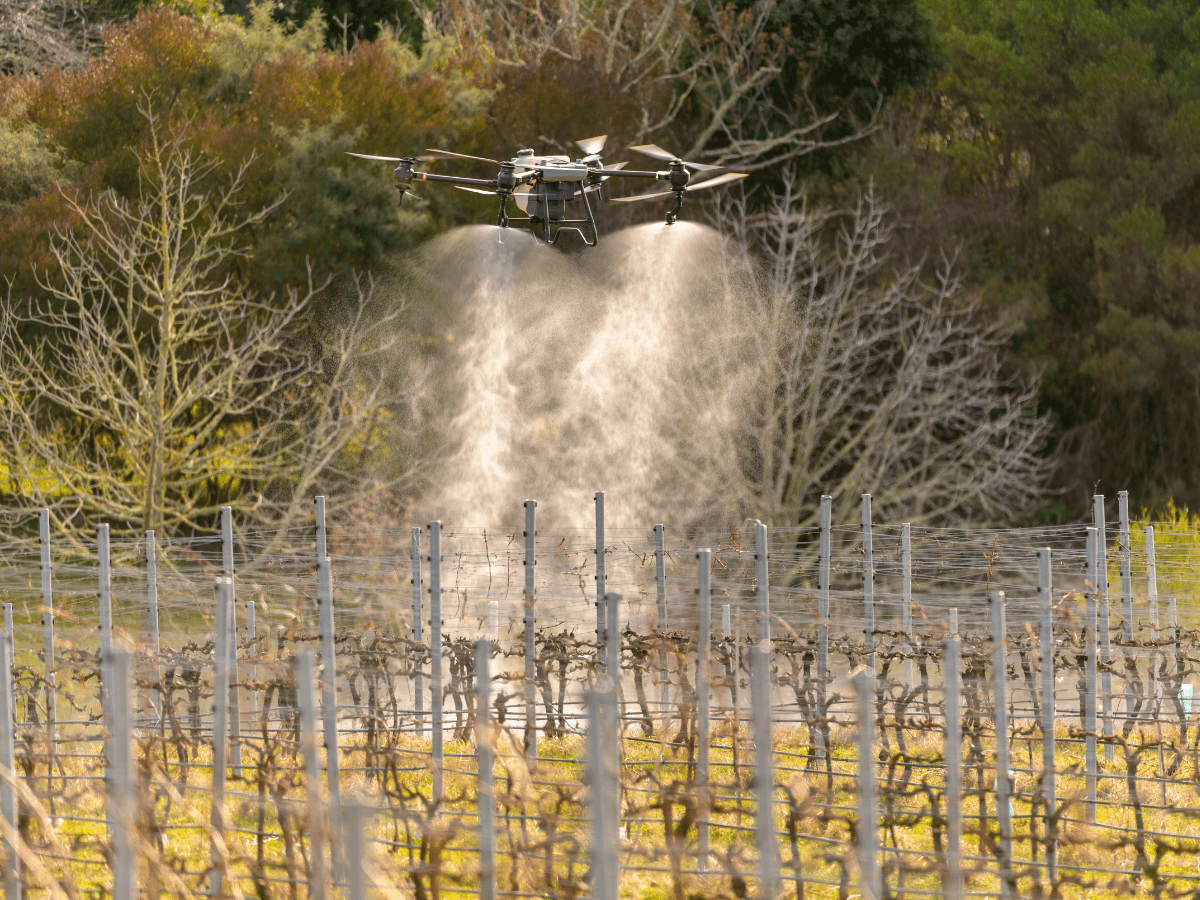 Crop Spraying Drone Services