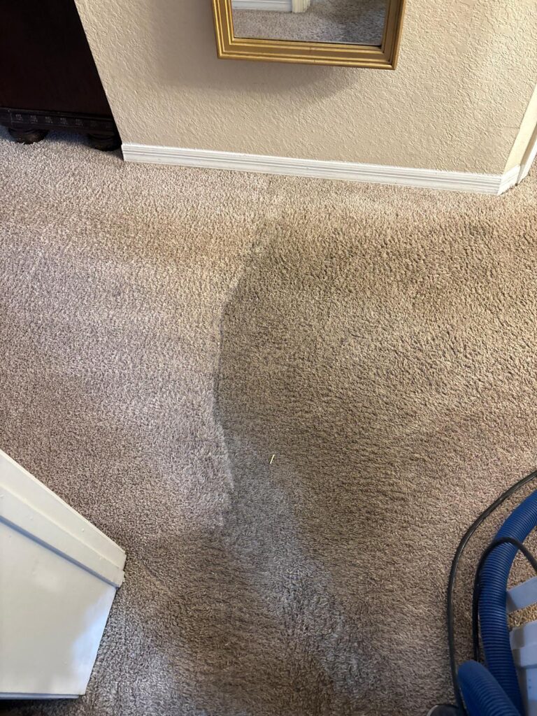 best Water Extraction Services