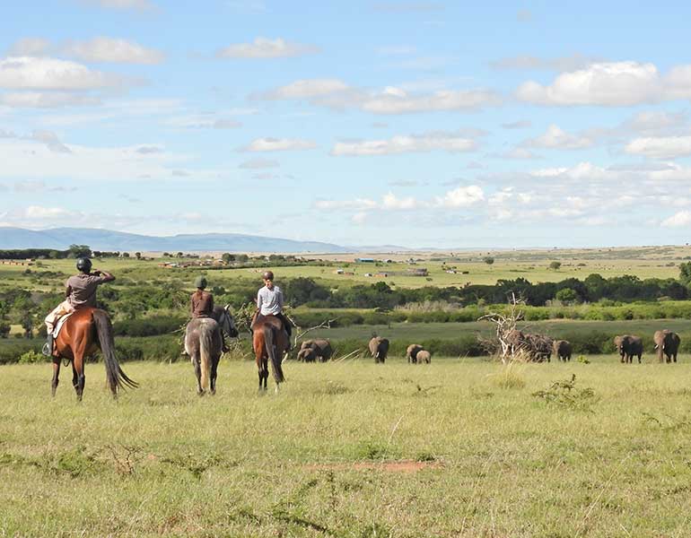 Discover Maasai Culture Through Masai Mara Horse Riding Safaris