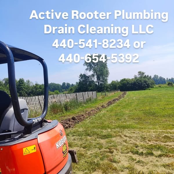 Why Keeping Drains Clean Is Vital for Healthy Homes in Oberlin?