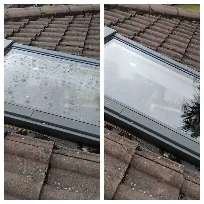 Domestic Window Cleaning