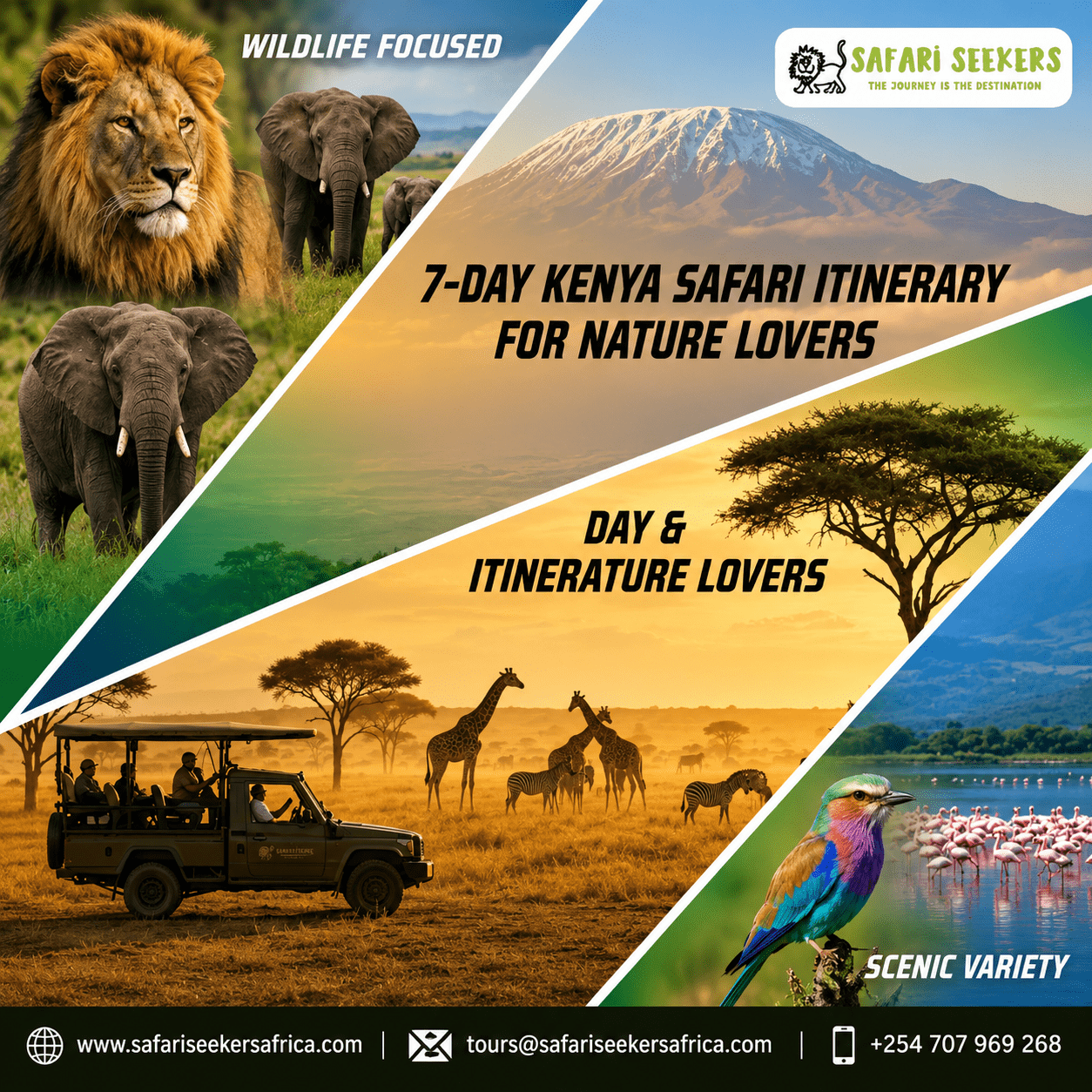 Explore Africa’s Wild Treasures Through Inspiring Safari Travel Experiences
